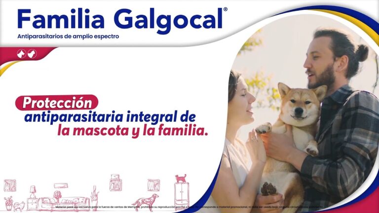 Prevención de Pulgas: Clave para la Salud Veterinaria Integral