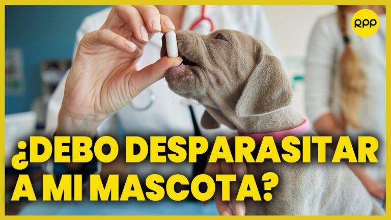 Estrategias Efectivas para el Proceso de Desparasitaci&oacute;n en Vida Marina