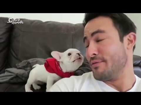 Prevenci&oacute;n de Alergias: Los Beneficios de Tener Reptiles como Mascotas