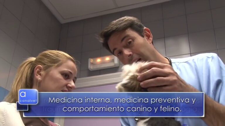 Reproducci&oacute;n Asistida en la Salud Veterinaria Integral