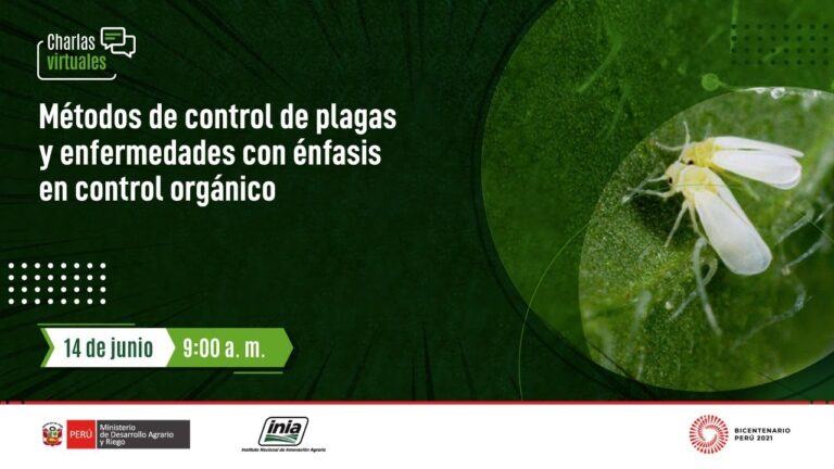 Estrategias Efectivas de Control de Plagas en Animales de Granja