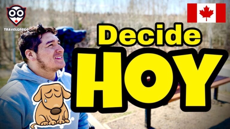 Importancia de las Visitas Regulares al Veterinario para Reptiles como Mascotas