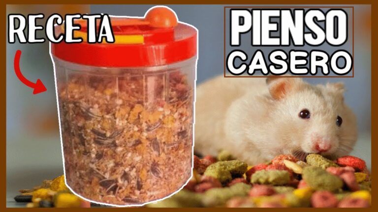 Recetas Saludables para H&aacute;msters