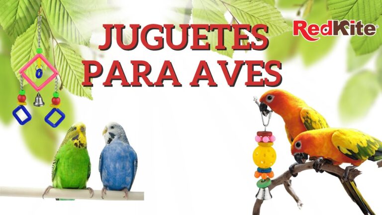 Juguetes Esenciales para Aves en Casa