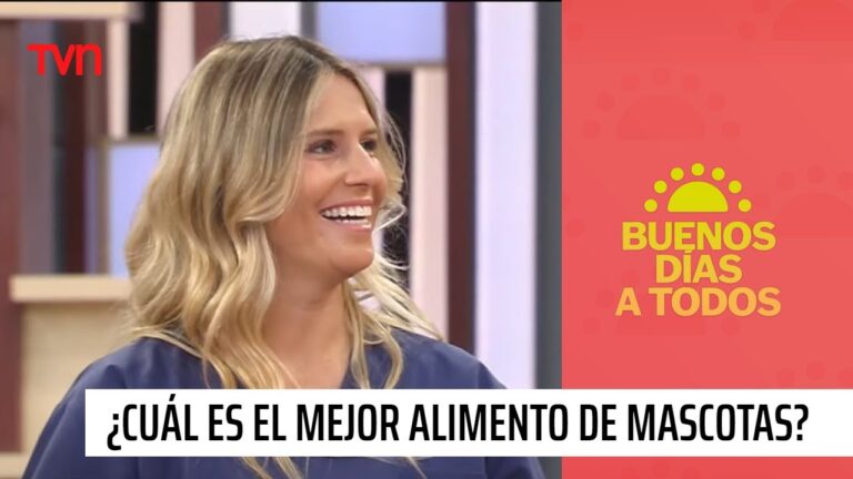 Elige el Alimento Ideal para tu Mascota en la Consulta Veterinaria