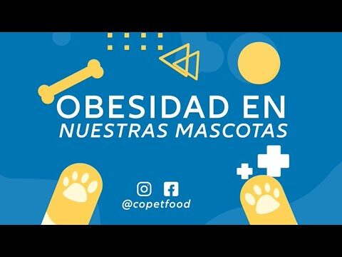 H&aacute;bitos Alimenticios y Obesidad en Mascotas: Claves para una Vida Saludable