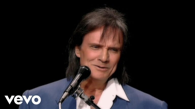 Entretenimiento Seguro para Aves Dom&eacute;sticas: Ideas y Recursos