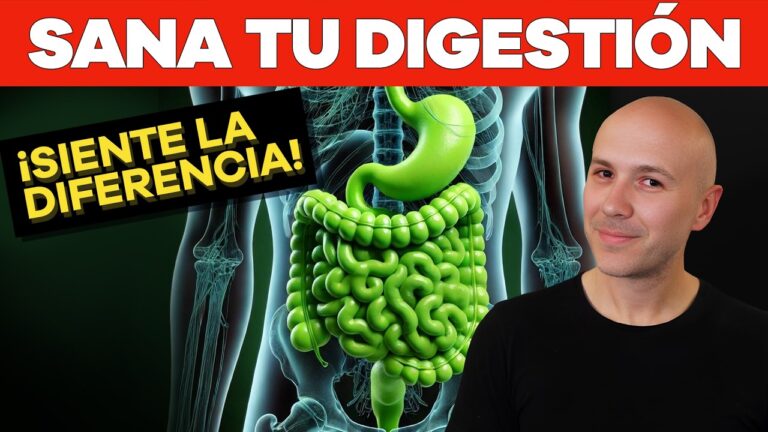 Consejos Nutricionales para la Salud Intestinal en Animales