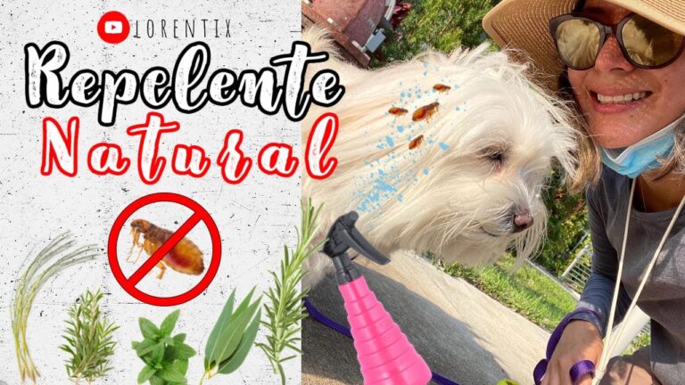 Accesorios Esenciales para Proteger a tu Mascota de Pulgas y Garrapatas