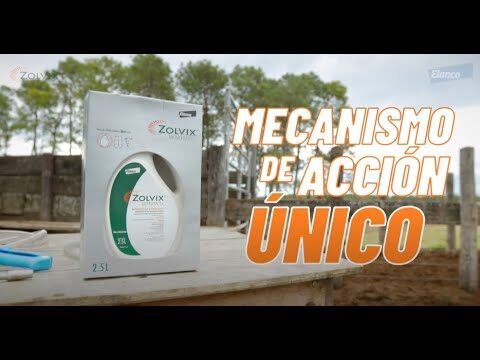 Estrategias Efectivas para el Control de Par&aacute;sitos en Caballos de Granja