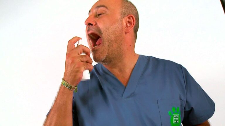 Accesorios Esenciales para la Higiene de Mascotas