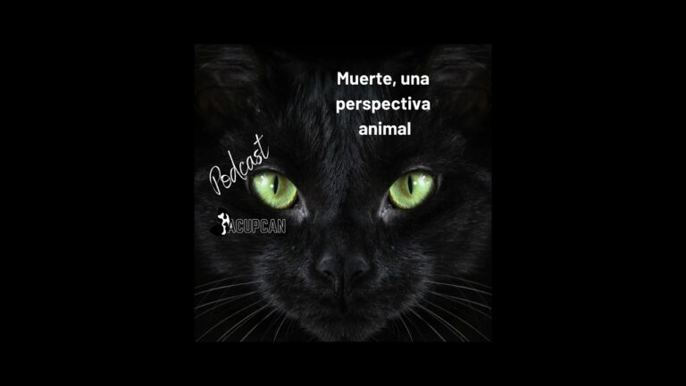 Bienestar Emocional de Mascotas: Perspectiva Veterinaria