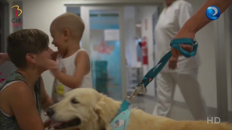 Asistencia Profesional en Emergencias Obst&eacute;tricas para Mascotas