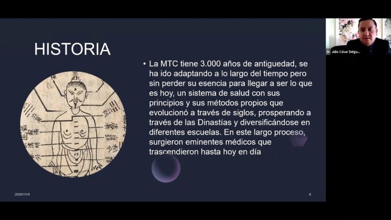 Acupuntura Veterinaria y Tratamientos Herbales: Sinergias Curativas