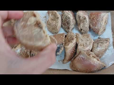 Accesorios Saludables para el Bienestar de tus Mascotas