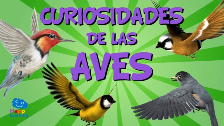 Secretos de las Aves a lo Largo de la Historia
