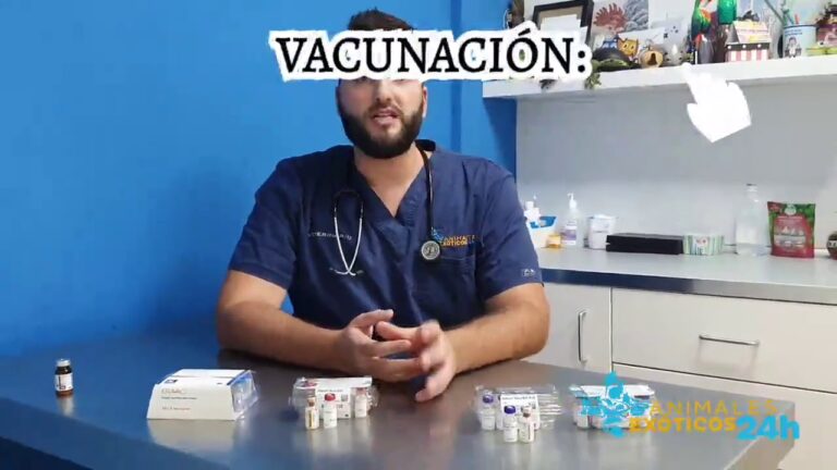 Vacunas Esenciales para Animales Ex&oacute;ticos