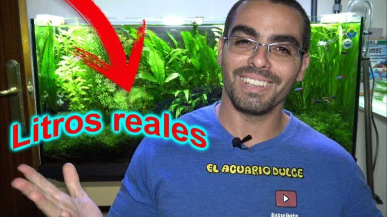 Mejorando la Salud de los Peces en Acuarios Personalizados