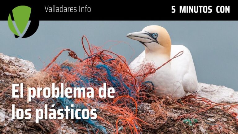 Impacto de los Tumores en la Salud de los Peces
