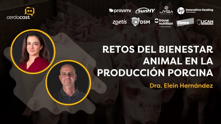 La Relevancia de la Veterinaria en la Crianza de Cerdos