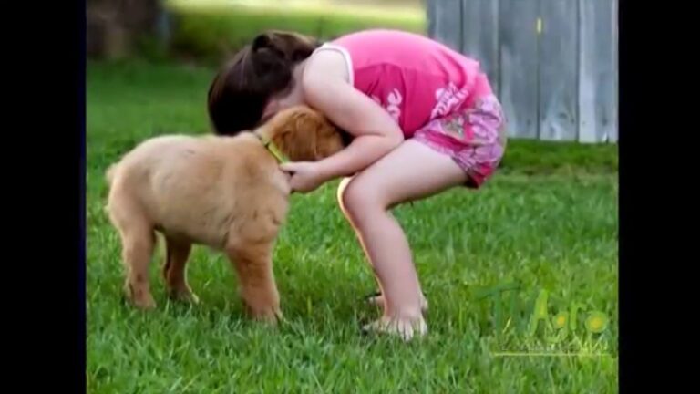 Estrategias Efectivas para el Control de Garrapatas en Animales