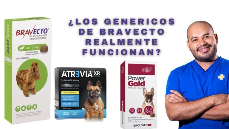 Alternativas Efectivas para el Control de Pulgas en Mascotas