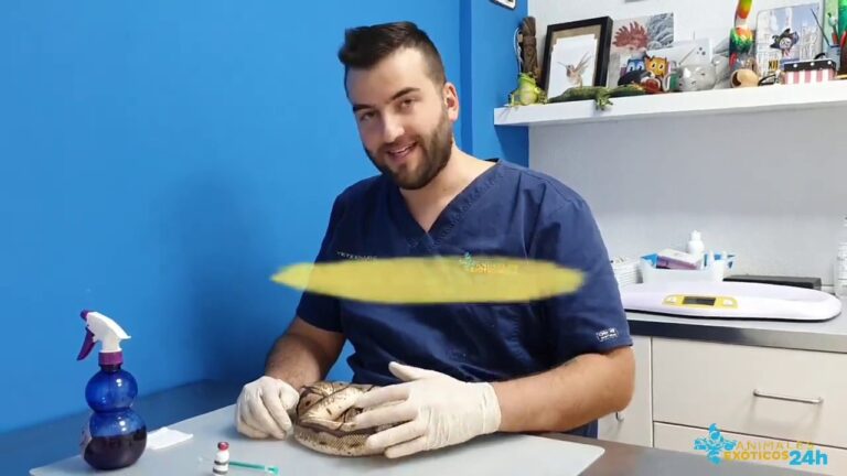 Medicamentos Espec&iacute;ficos para Animales Ex&oacute;ticos