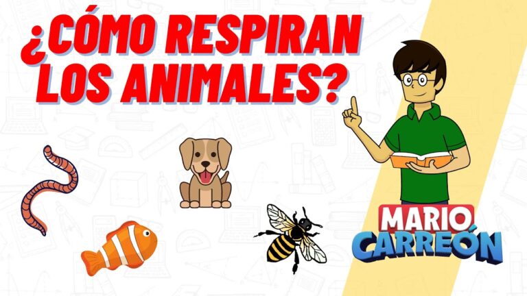 La Salud Respiratoria en Reptiles: Su Importancia Fundamental