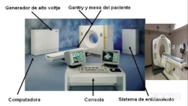 Evoluci&oacute;n Tecnol&oacute;gica en la Radiolog&iacute;a Veterinaria