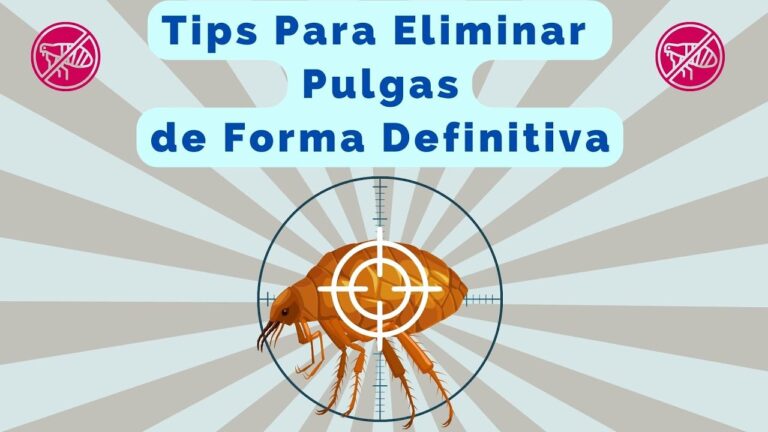 Control de pulgas: Clave para la salud veterinaria integral
