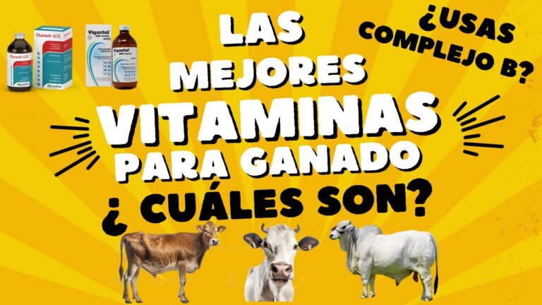 Eficacia de Tratamientos Veterinarios y Suplementos Alimenticios