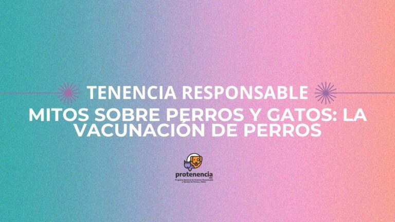 Crianza Responsable: Importancia de la Vacunaci&oacute;n Preventiva en Animales
