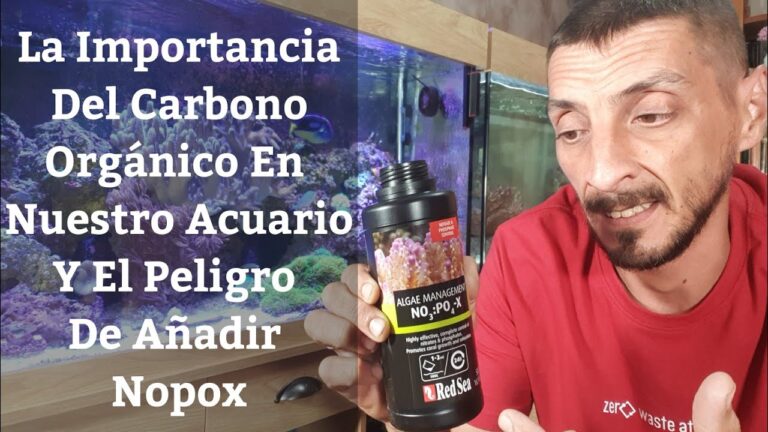 Acuarios Equilibrados: La Clave del Ciclo del Nitr&oacute;geno