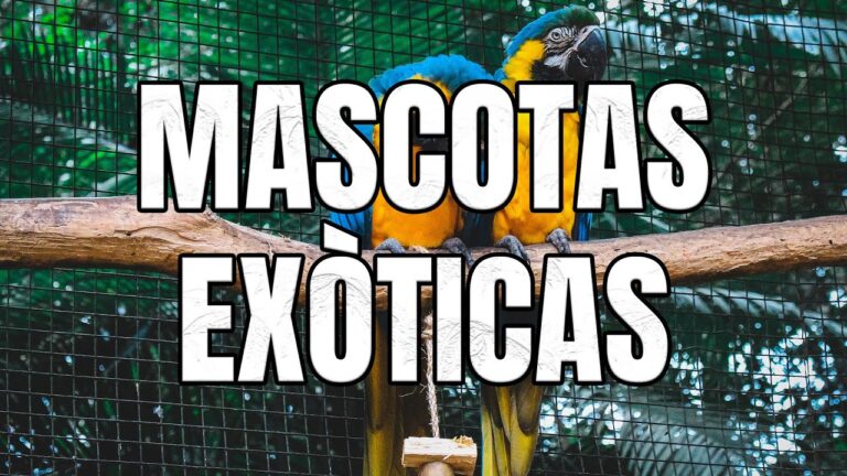 Cuidados Nutricionales Esenciales para Animales Ex&oacute;ticos