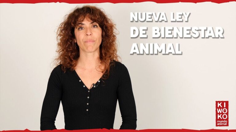 Gu&iacute;a para la Adopci&oacute;n Responsable de Reptiles como Mascotas