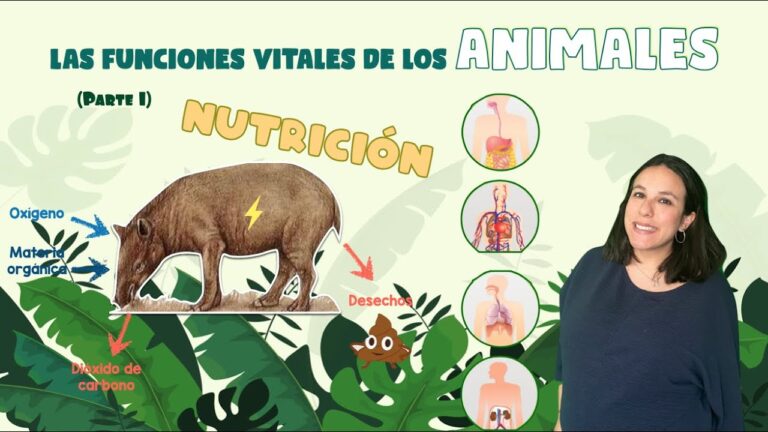 Nutrientes Esenciales para la Hidrataci&oacute;n Animal