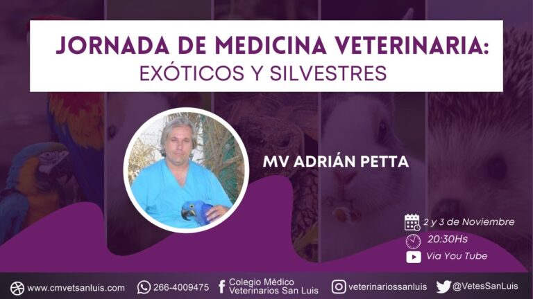 Diagn&oacute;stico Efectivo de Enfermedades Respiratorias en Reptiles