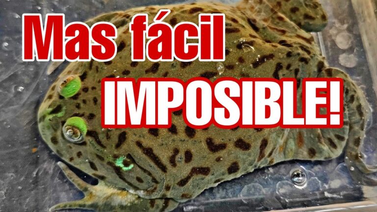 Alimentos Ideales para Reptiles como Mascotas