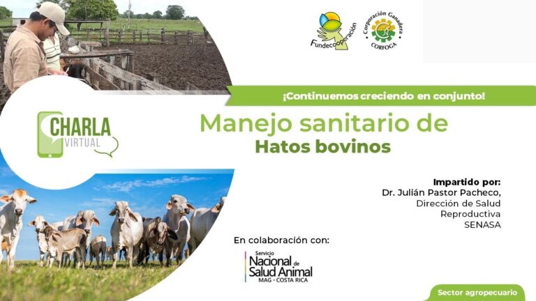 Salud Reproductiva y Protocolos Sanitarios en la Cr&iacute;a Animal