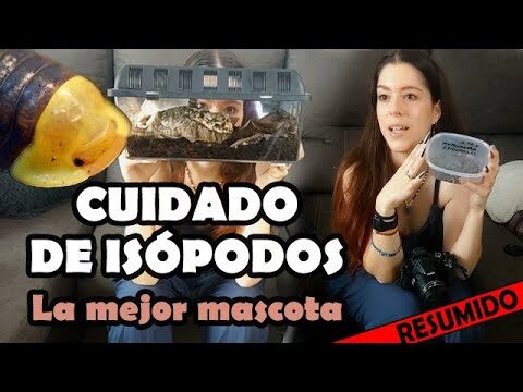 Cuidados Veterinarios Esenciales para Reptiles como Animales de Compa&ntilde;&iacute;a