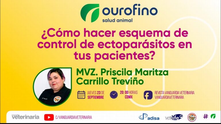 Estrategias Efectivas en Tratamientos Veterinarios para el Control de Par&aacute;sitos