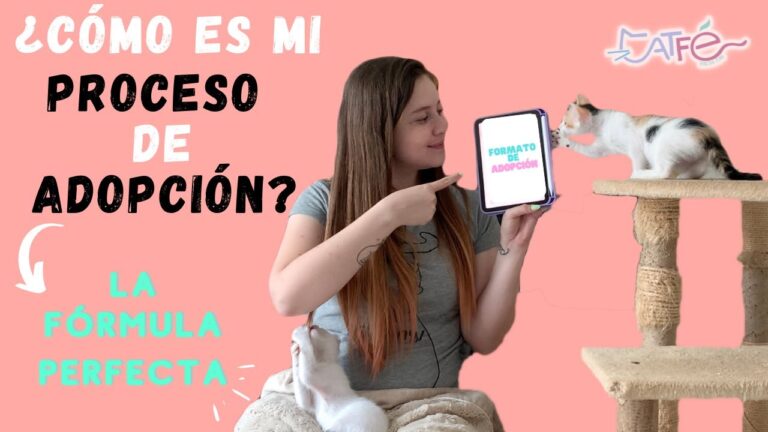 Adopci&oacute;n de Mascotas: Claves para un Seguimiento Veterinario Efectivo