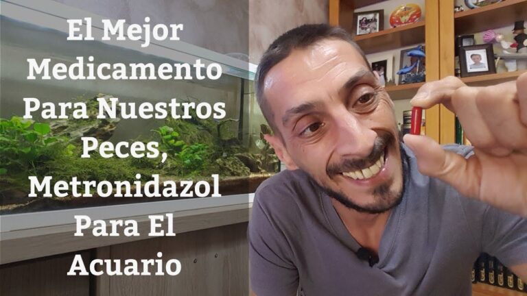 Gu&iacute;a Efectiva para el Control Preventivo de Par&aacute;sitos en Peces de Acuario