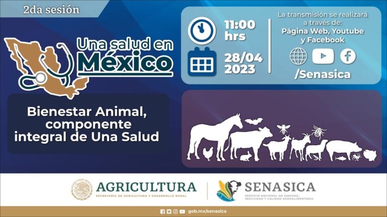 Medidas Preventivas para una Salud Veterinaria Integral