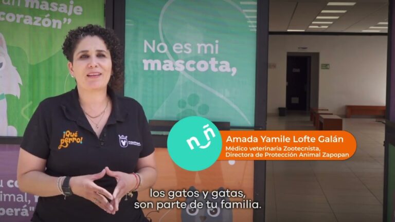 Beneficios Clave de la Salud Veterinaria Integral