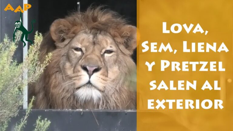 Bienestar de Animales Ex&oacute;ticos en Recintos Seguros