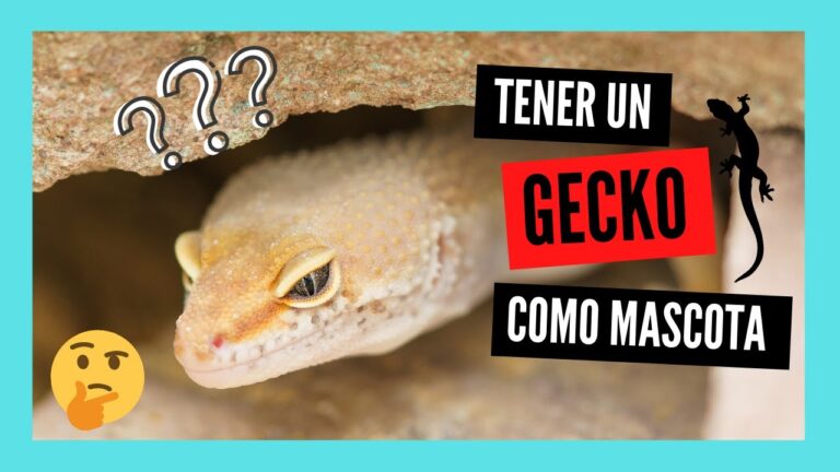 Gu&iacute;a para Mantener Activos a tus Reptiles en Casa
