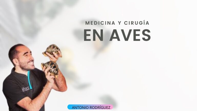 Cuidados Veterinarios Esenciales para Aves en Cl&iacute;nicas Especializadas