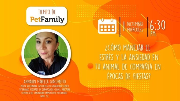 Estrategias Veterinarias para Manejar el Estr&eacute;s en Animales Ex&oacute;ticos