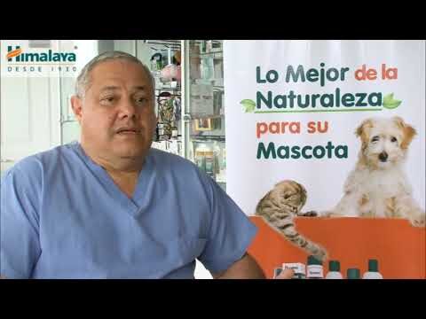 Cuidado Integral en Medicamentos y Suplementos Veterinarios